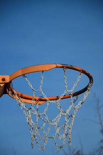 九游(jiuyou)官方网站-NBA球员体能训练计划设计与效果评估，nba球员的体能训练